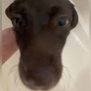 Meet your Posher, Haley